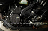 RLZ Carbon Fiber Magnet Cover Protector - KTM Duke 250/390 (2017 - 22)