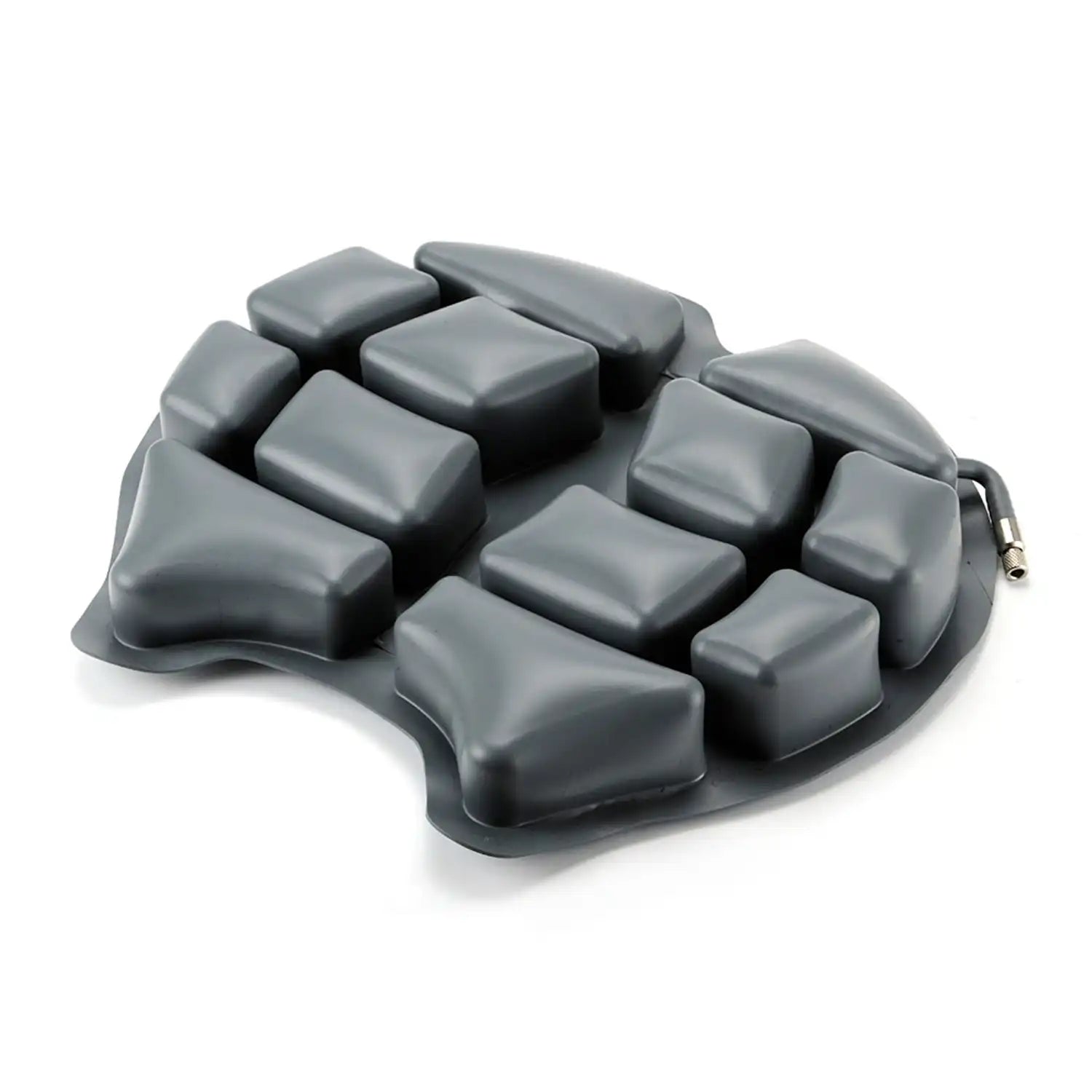 R&G Wild Ass Air Cushions Smart Style