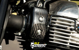 RLZ Carbon Fiber Manifold Covers - Royal Enfield Interceptor/Continental GT 650 (2018 - 24)