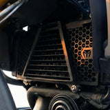 MotoTorque Radiator Guard - TVS Apache RTX 300